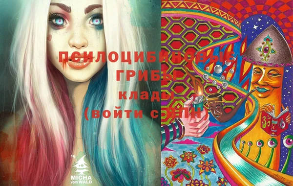 МДМА Инсар