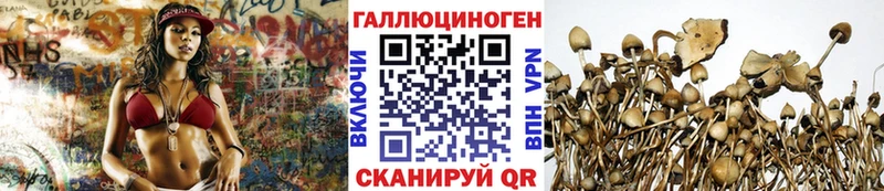 Галлюциногенные грибы GOLDEN TEACHER  Купить где  Севск 